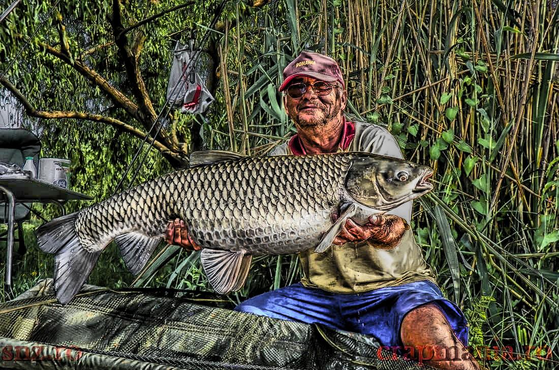 Cupa Seniorilor (2) -2013  - 1011360hdrmode2.JPG